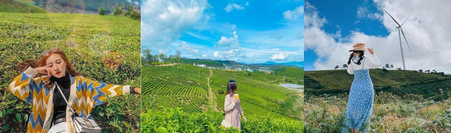 TOUR LONG XUYÊN – ĐÀ LẠT 3N3Đ gallery 3