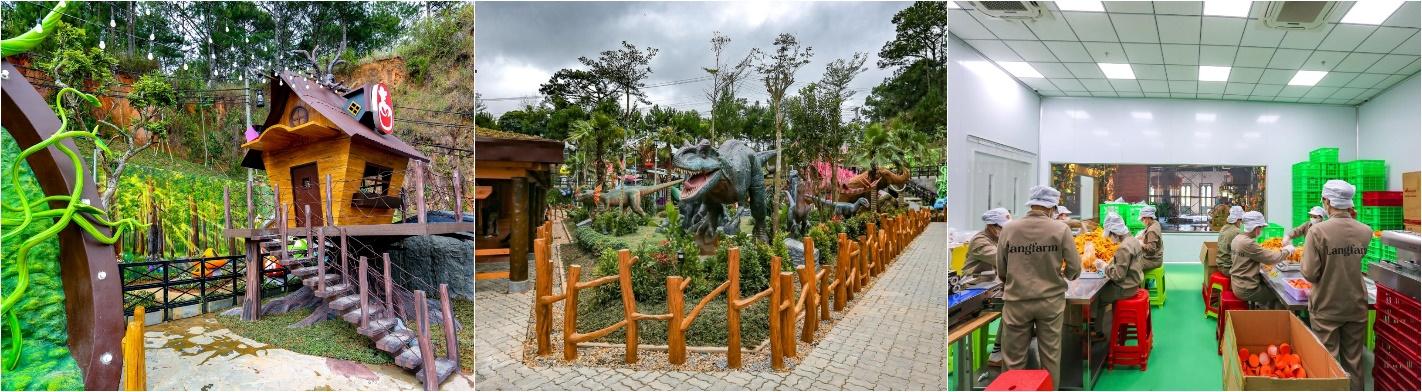 TOUR LONG XUYÊN – ĐÀ LẠT 3N3Đ gallery 4