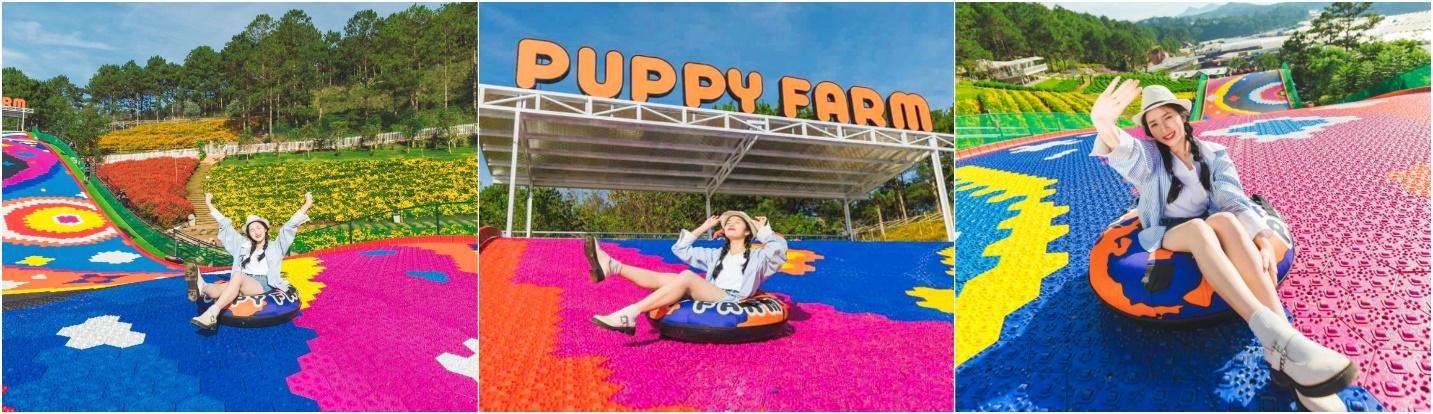 TOUR LONG XUYÊN – ĐÀ LẠT 3N3Đ gallery 5