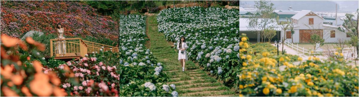 TOUR LONG XUYÊN – ĐÀ LẠT 3N3Đ gallery 7